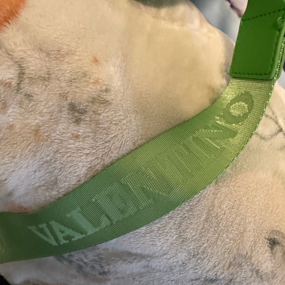 Valentino Orlandi Green Logo Crossbody Bag - Picture 11 of 13